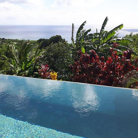 Soufrière Kaye Mangoヴィラ エクステリア 写真