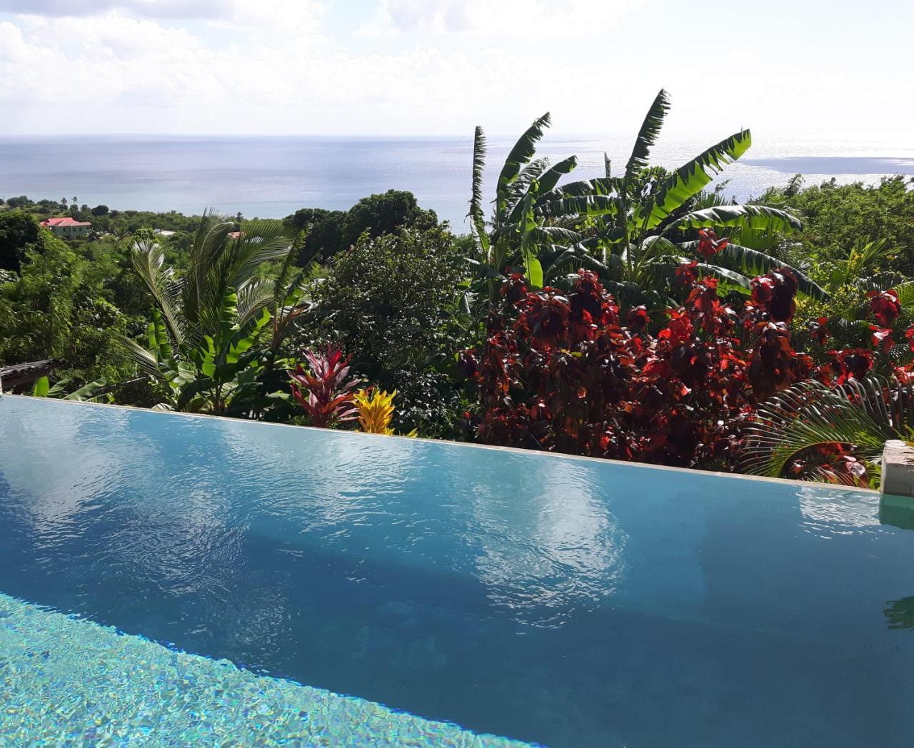 Soufrière Kaye Mangoヴィラ エクステリア 写真