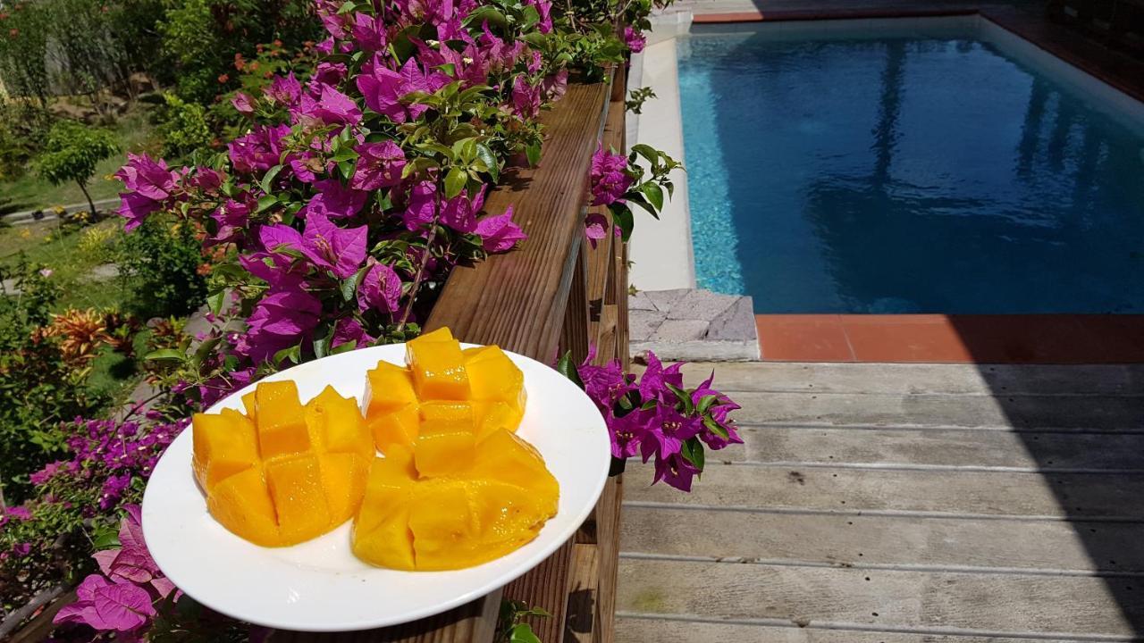 Soufrière Kaye Mangoヴィラ エクステリア 写真