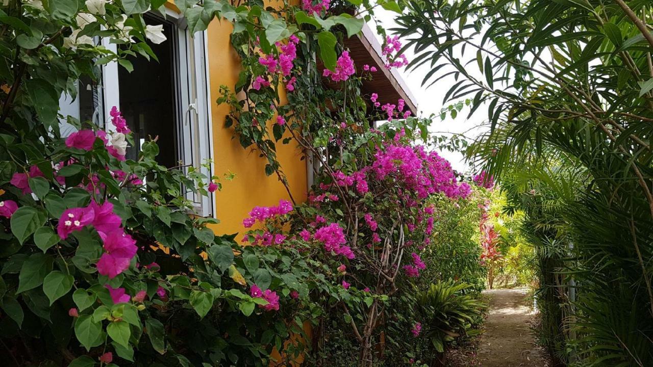 Soufrière Kaye Mangoヴィラ エクステリア 写真