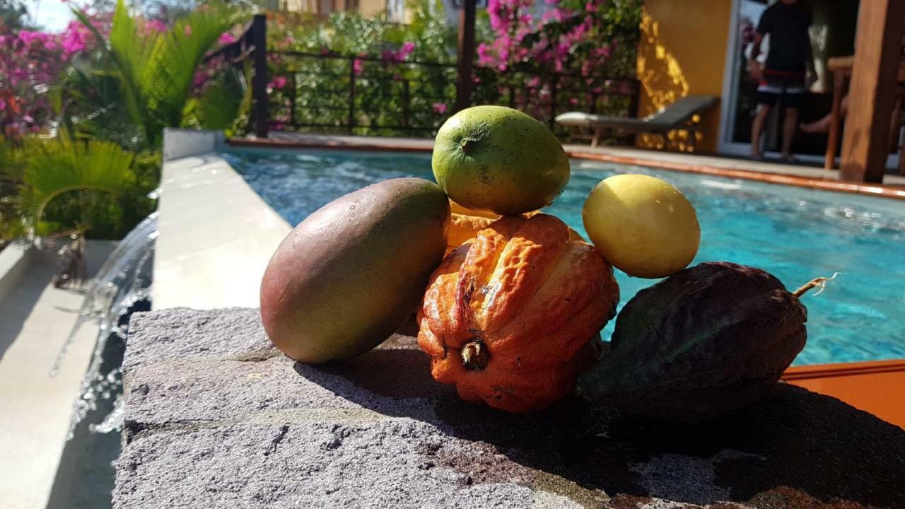 Soufrière Kaye Mangoヴィラ エクステリア 写真