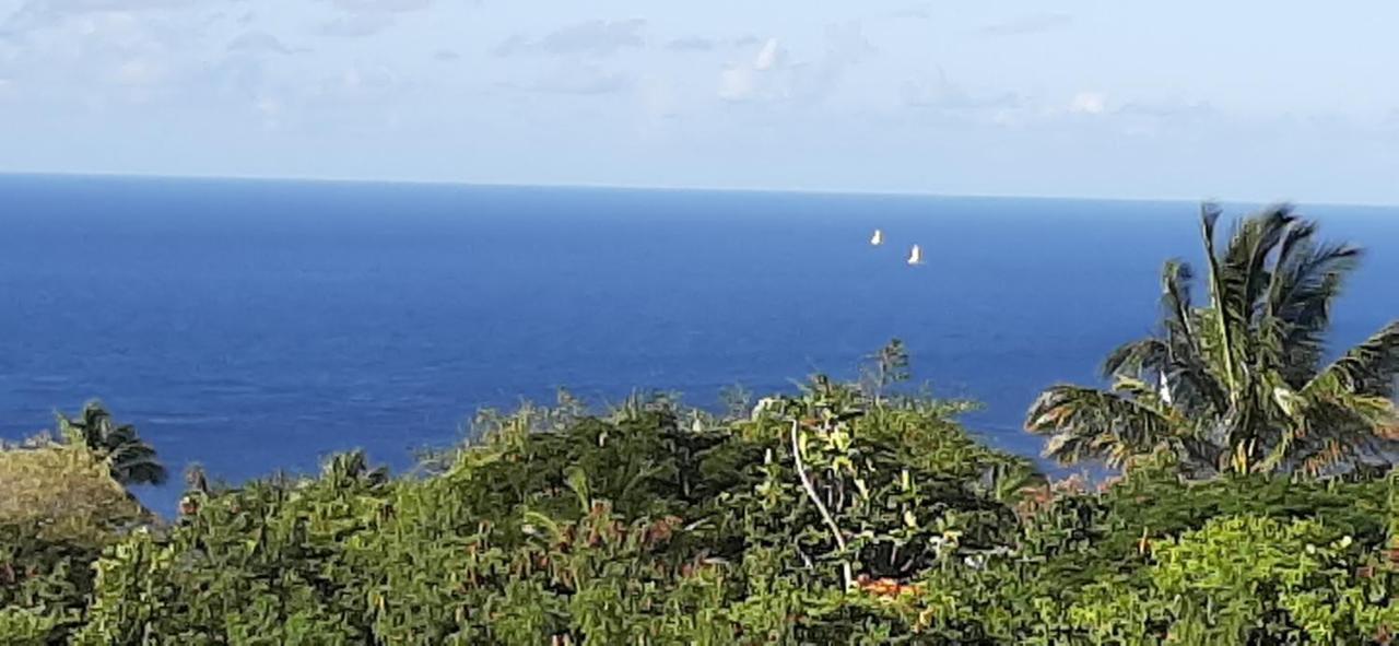 Soufrière Kaye Mangoヴィラ エクステリア 写真