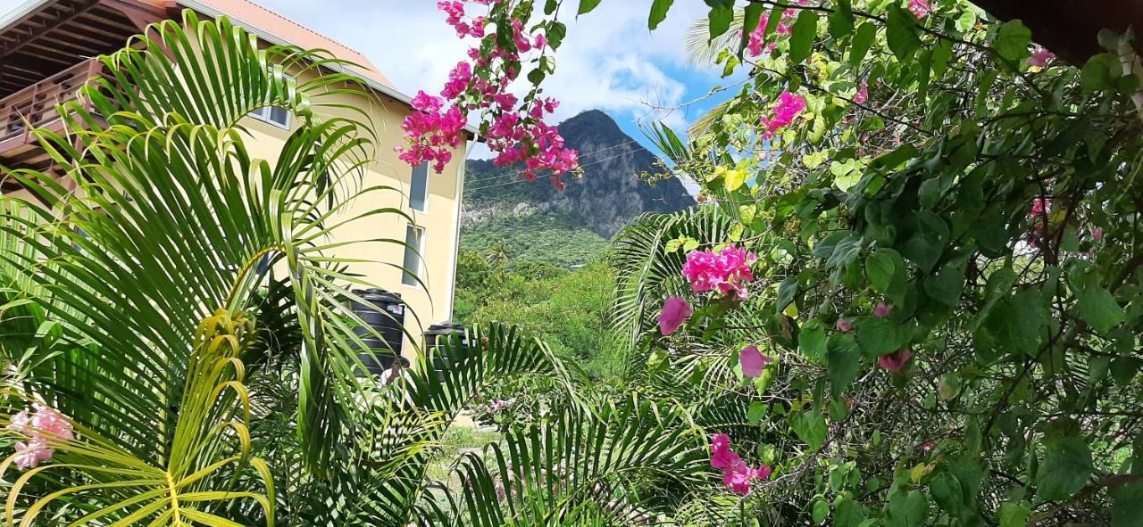 Soufrière Kaye Mangoヴィラ エクステリア 写真