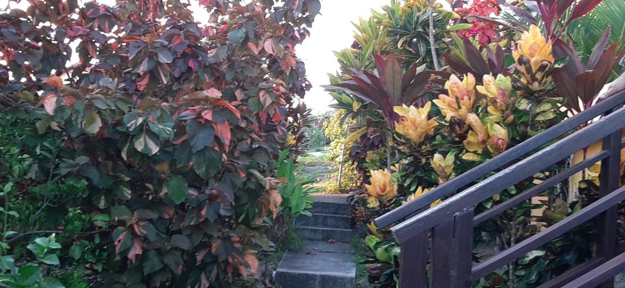 Soufrière Kaye Mangoヴィラ エクステリア 写真