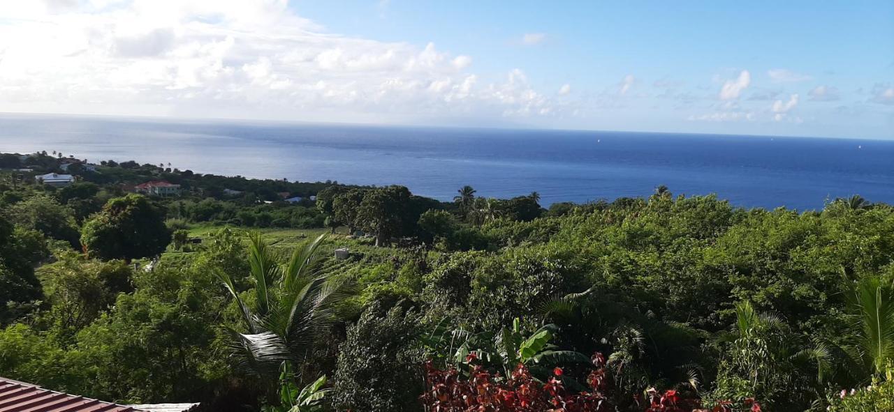Soufrière Kaye Mangoヴィラ エクステリア 写真