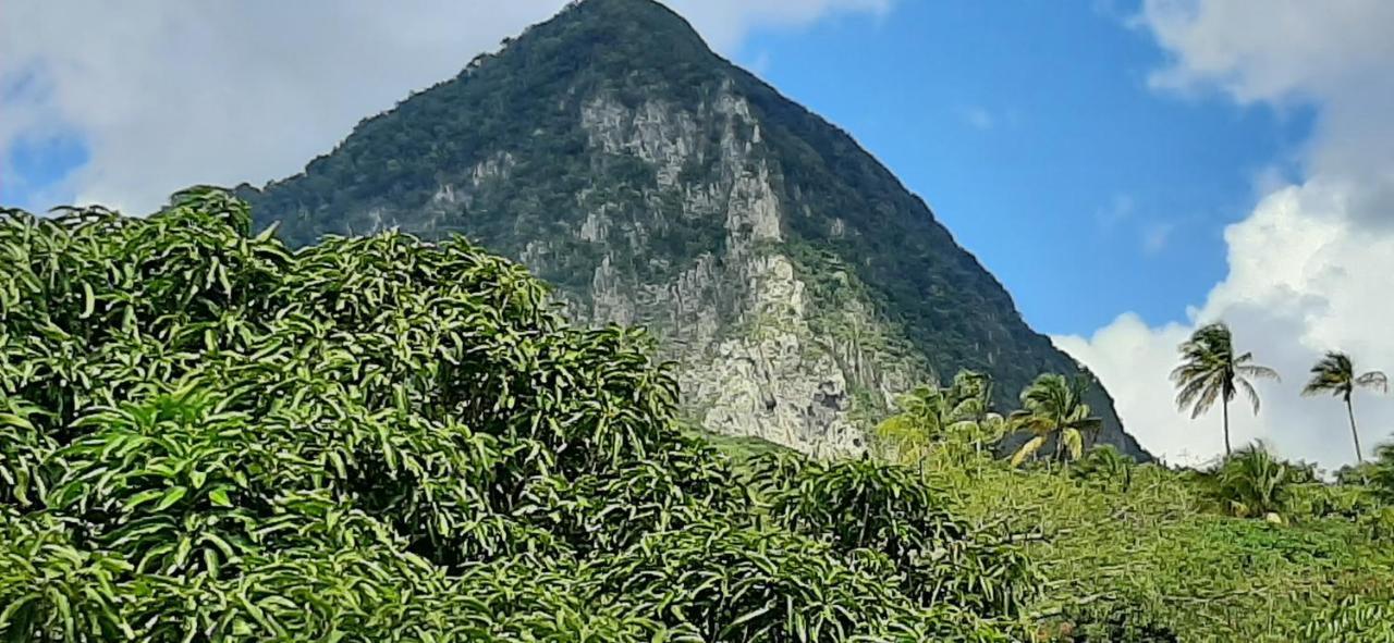 Soufrière Kaye Mangoヴィラ エクステリア 写真